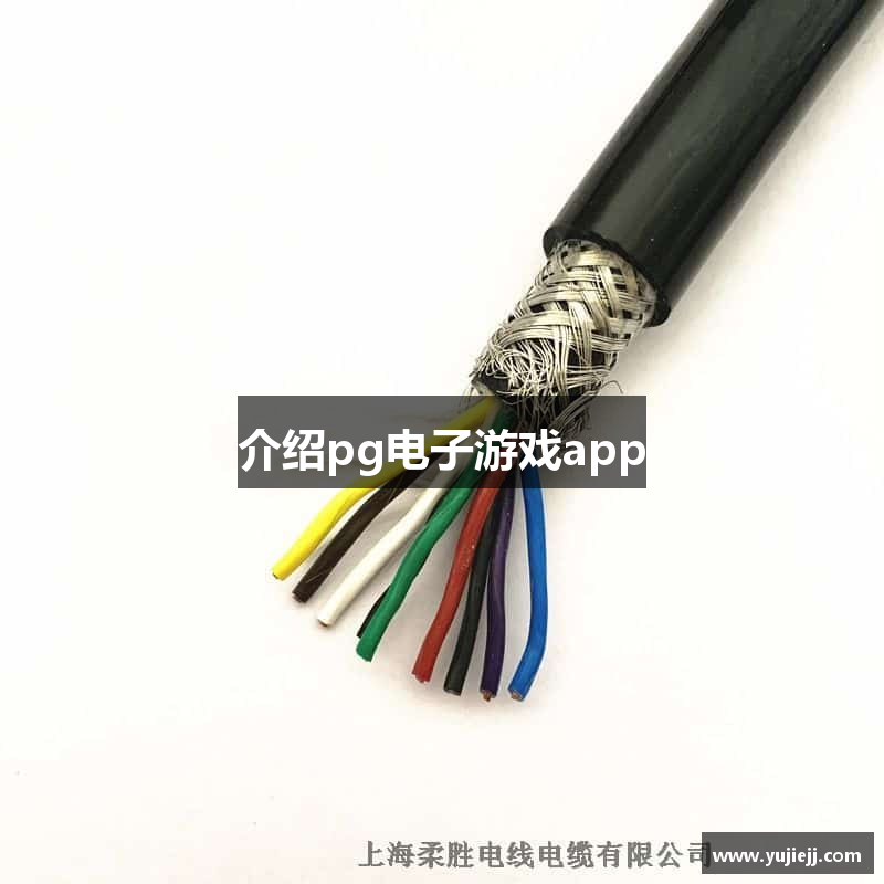 介绍pg电子游戏app